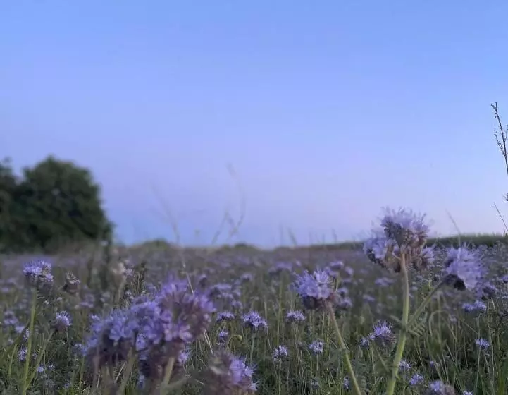 Pension Müritzblick