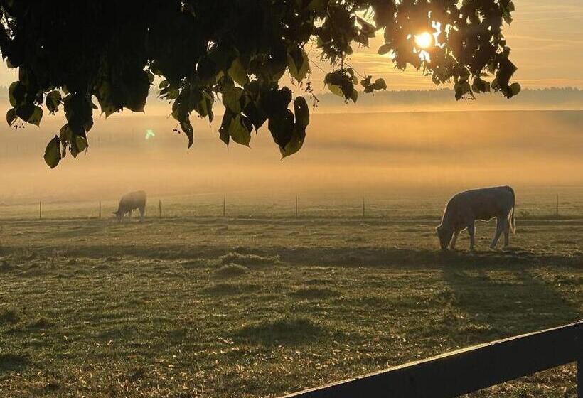 Pension Müritzblick