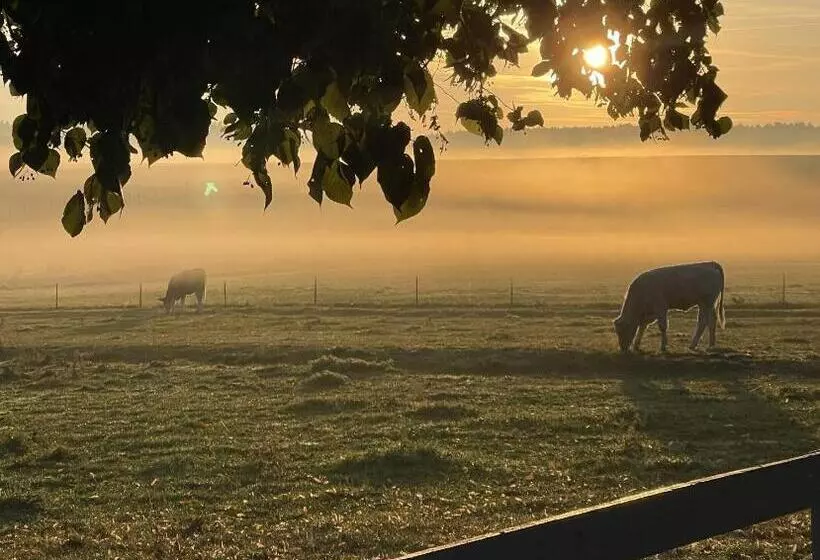 Pension Müritzblick