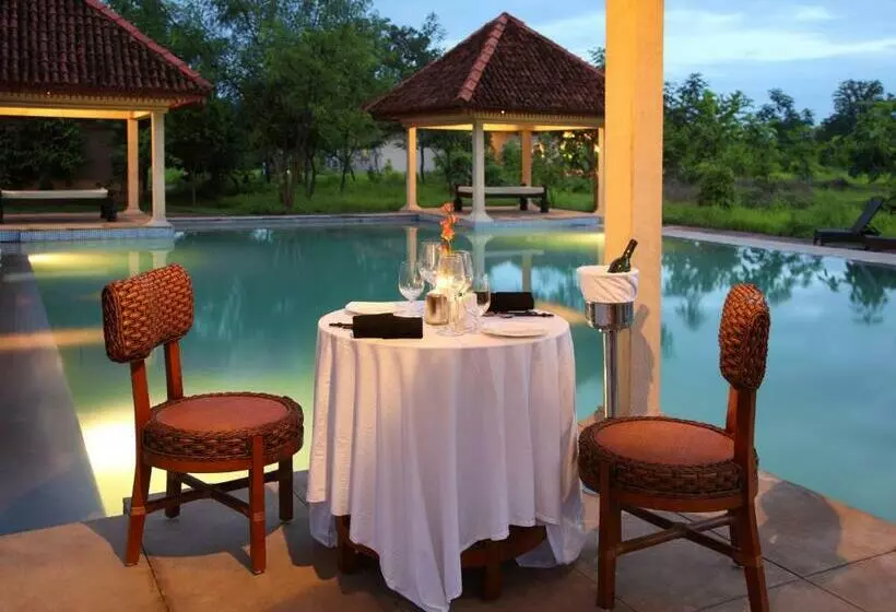 Lomakeskus Tuli Tiger Corridor