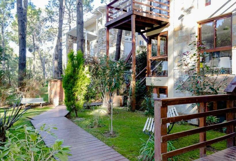 Cabañas Y Apart Utopia