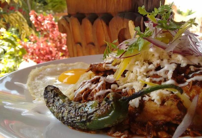 هتل Casa Rosada  Adults Only