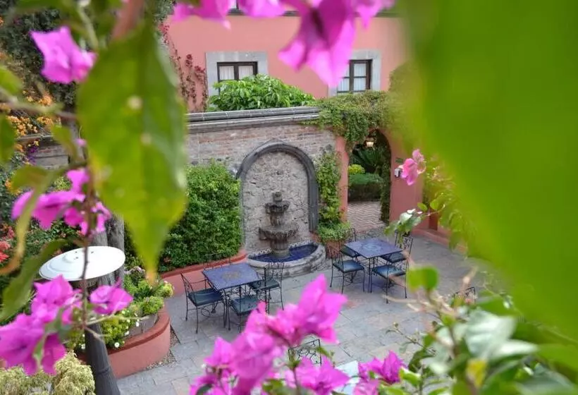 ホテル Casa Rosada Adults Only