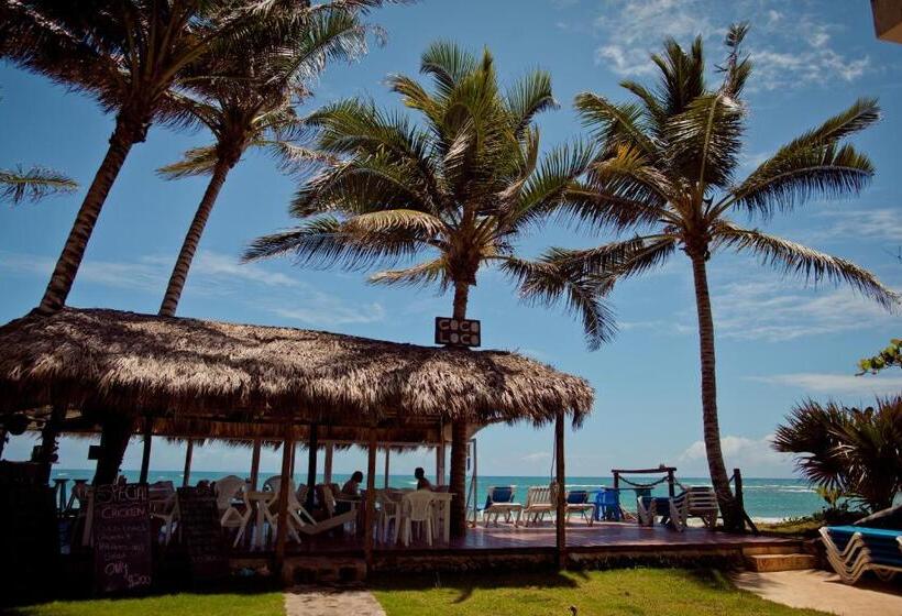 هتل Kite Beach Inn