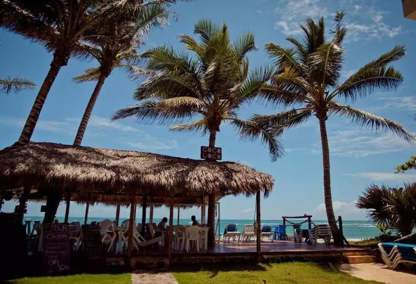 בית מלון כפרי Kite Beach Inn