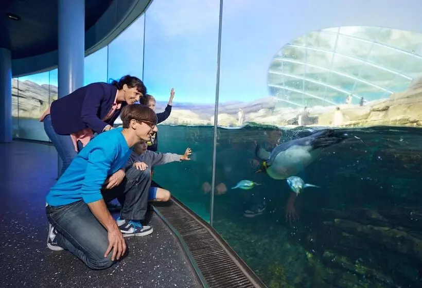 هتل Louisa's Place