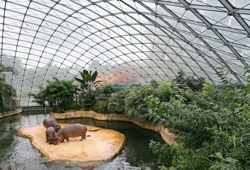 هتل Louisa's Place