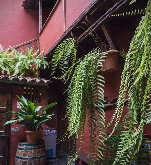 ホテル Rural Orotava