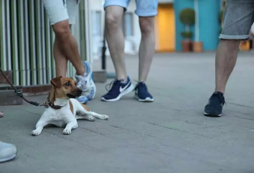 Ritual Maspalomas - Adults Only