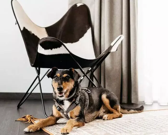 ホテル Lake Hill Karkonosze Resort & Spa