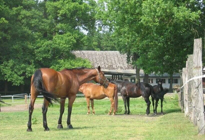 فندق Misselhorner Hof