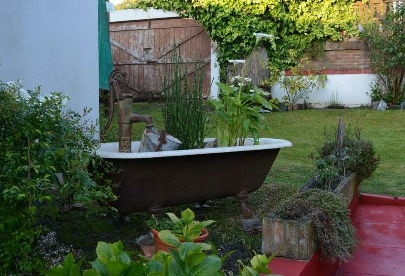 هاستل Hostería El Bosque