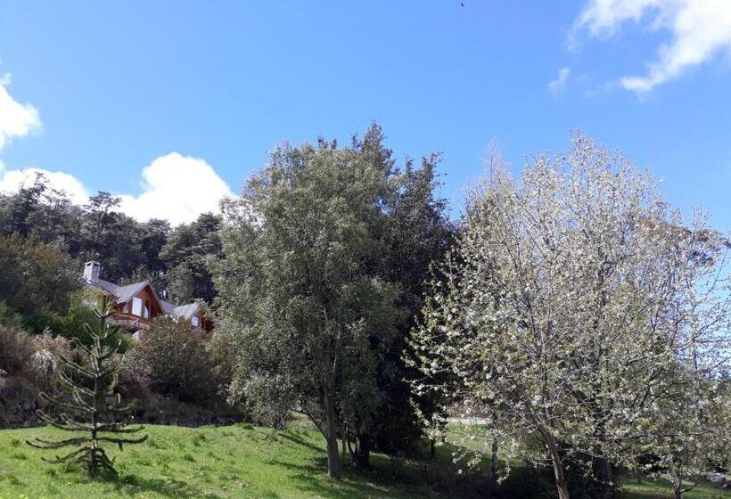 Hotel El Bosque By Dot Tradition