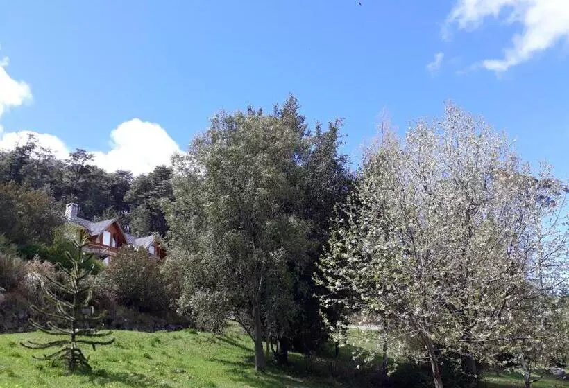 هتل El Bosque By Dot Tradition