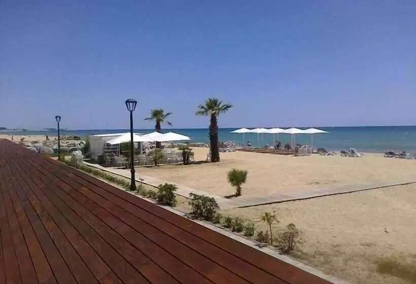 Отель Colon Thalasso Termal