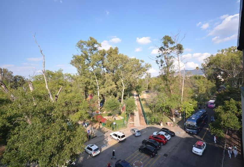 هتل Diana Del Bosque By Dot Urban