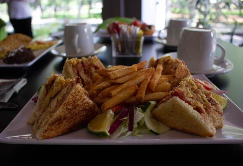 هتل Diana Del Bosque By Dot Urban