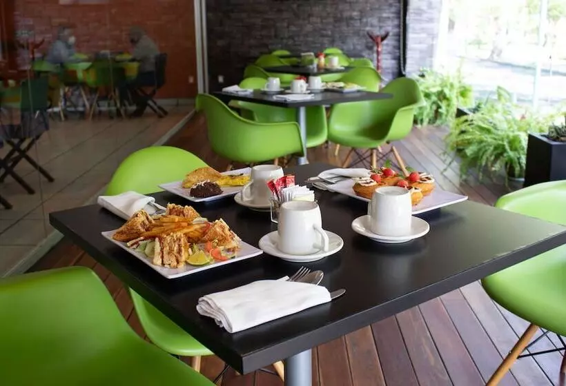 فندق Diana Del Bosque By Dot Urban