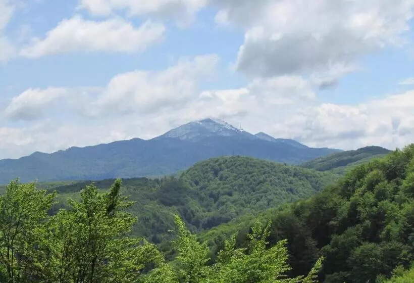 ペンション Pansion Breza