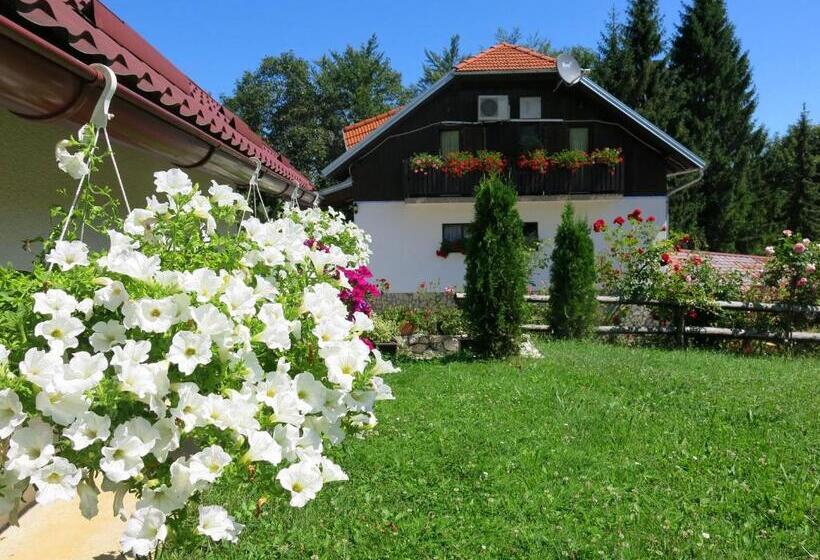 ペンション Pansion Breza