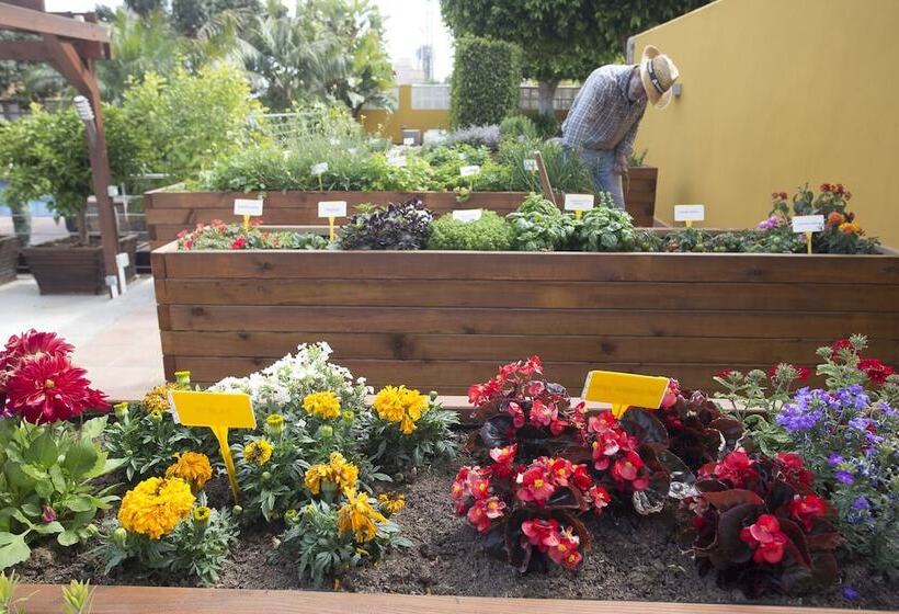 The Cookbook Gastro Boutique Hotel & Spa