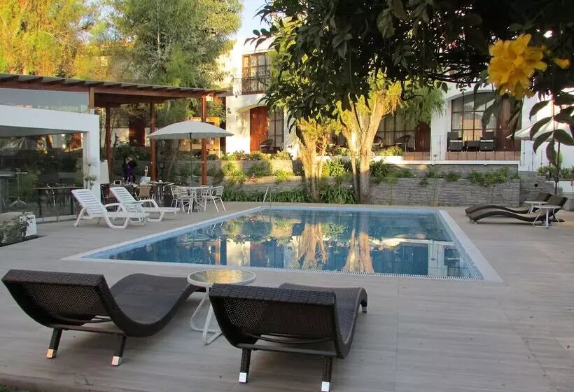 Queen S Villa Hotel Boutique