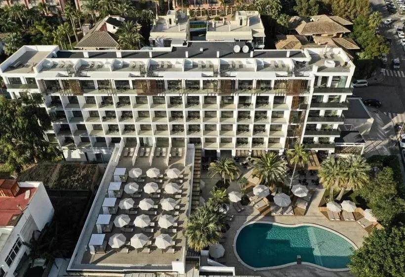 Bordoy Alcudia Port Suites