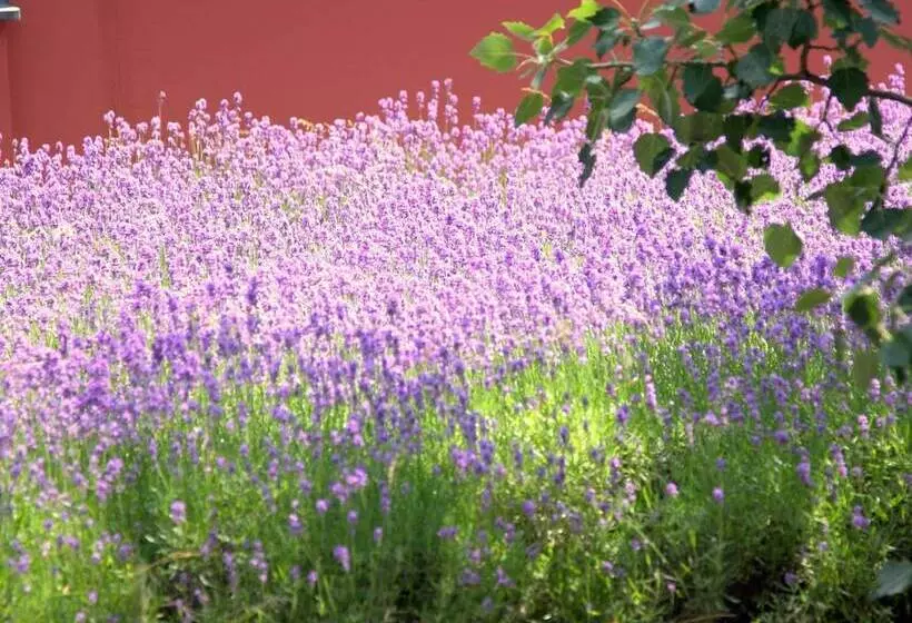 Boutiquehotel Stadthalle