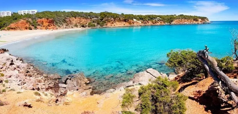 ホテル Cala Llenya Resort Ibiza