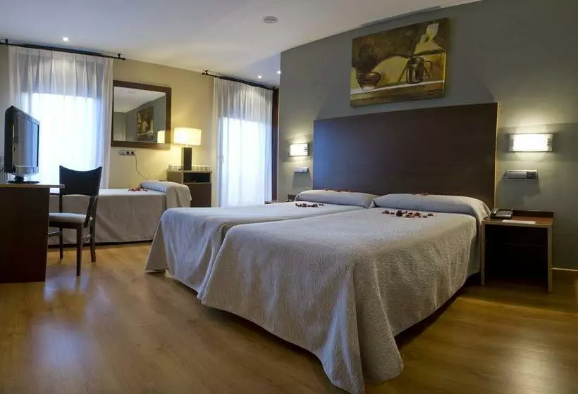 ホテル Ciudad de Sabiñánigo