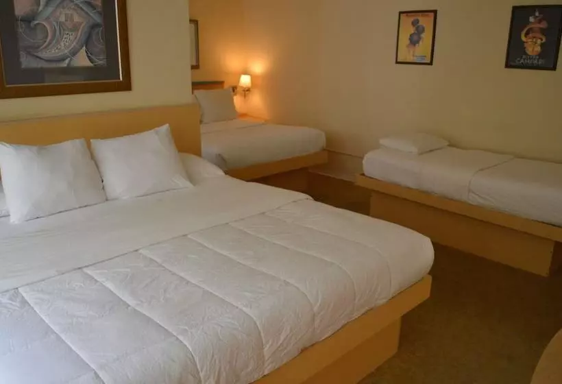 Hotel Island House South Beach