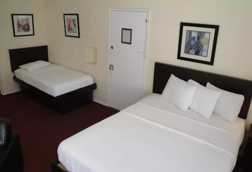 Hotel Island House South Beach