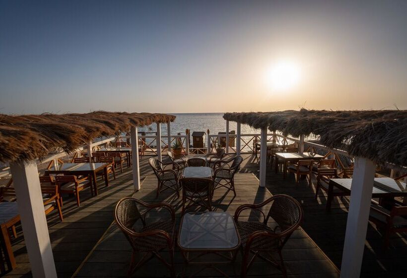 استراحتگاه JAZ Royal Palmariva