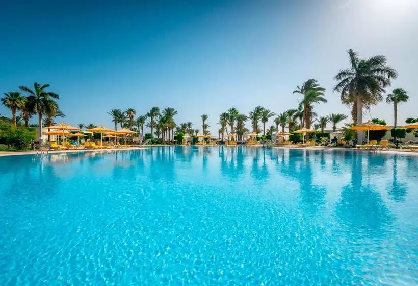 استراحتگاه JAZ Royal Palmariva