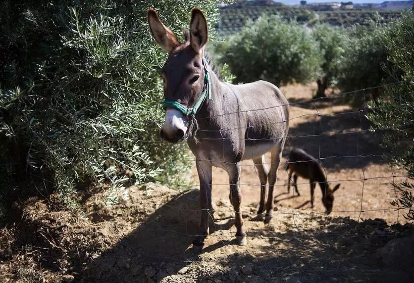 교외 호텔 Cuevas Abuelo Ventura