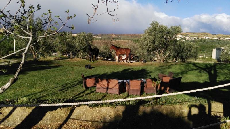 فندق ريفى Cuevas Abuelo Ventura