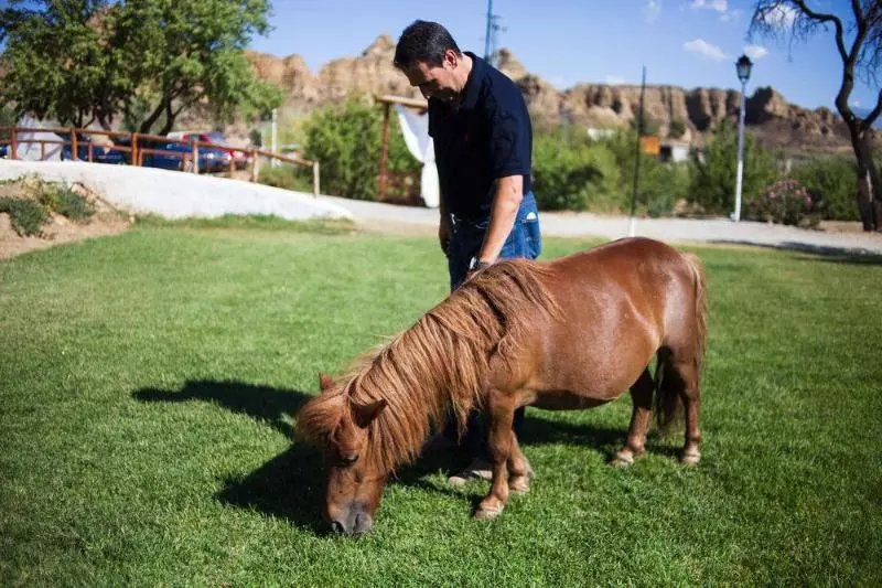 교외 호텔 Cuevas Abuelo Ventura