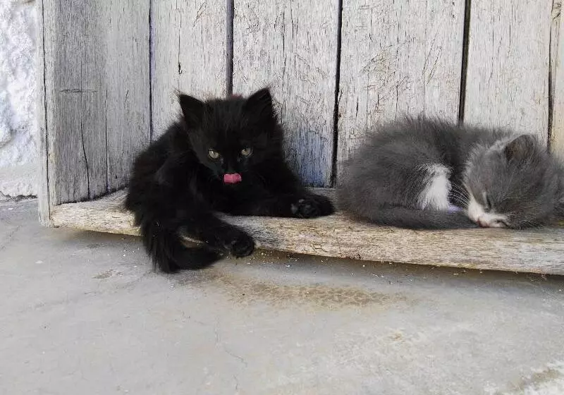 교외 호텔 Cuevas Abuelo Ventura