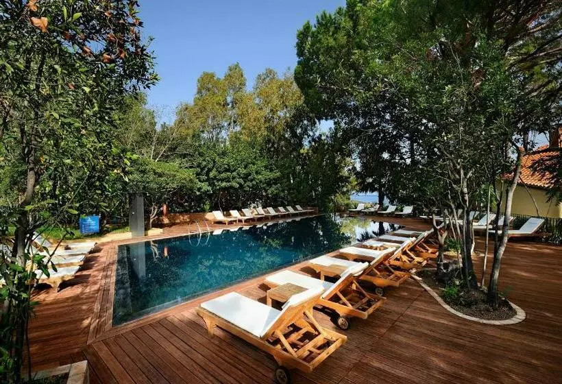 Отель Alberi del Paradiso