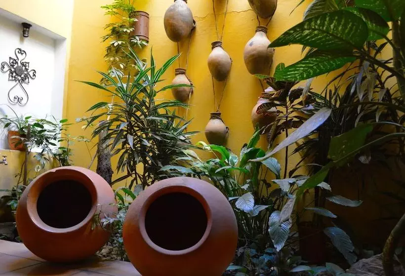 هتل Casa Divina Oaxaca