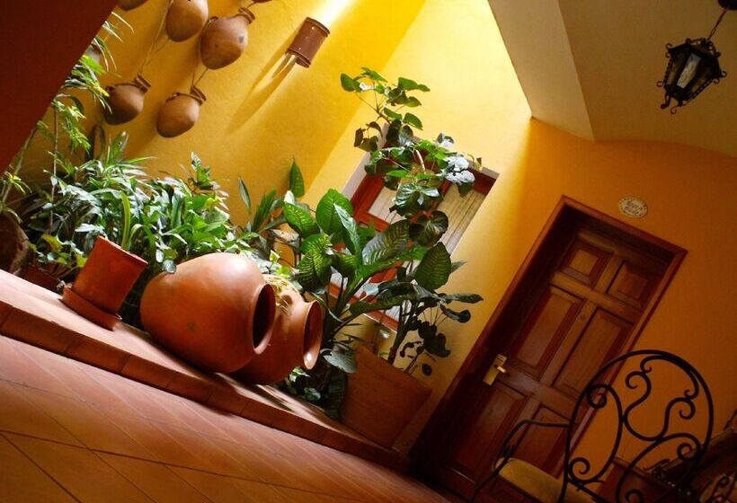 فندق Casa Divina Oaxaca