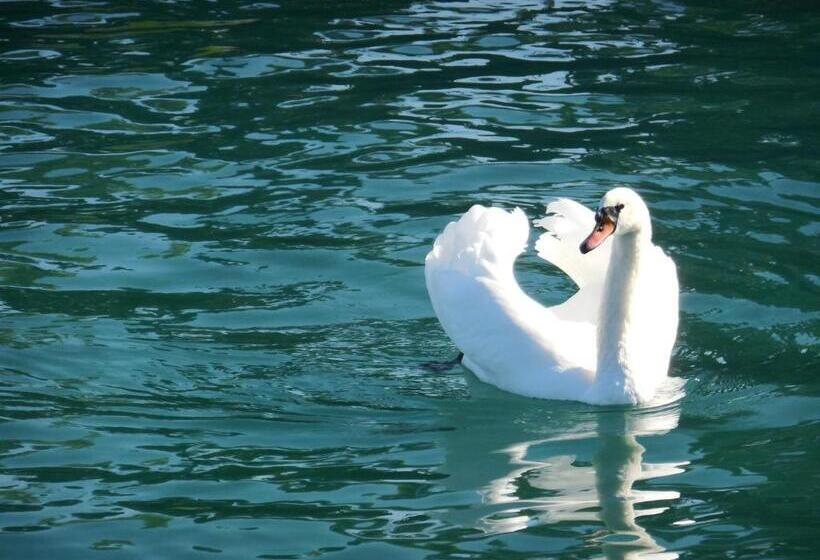 هتل Palazzo Ai Capitani