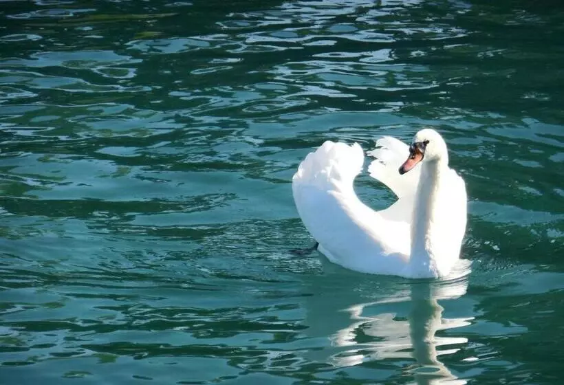 酒店 Palazzo Ai Capitani