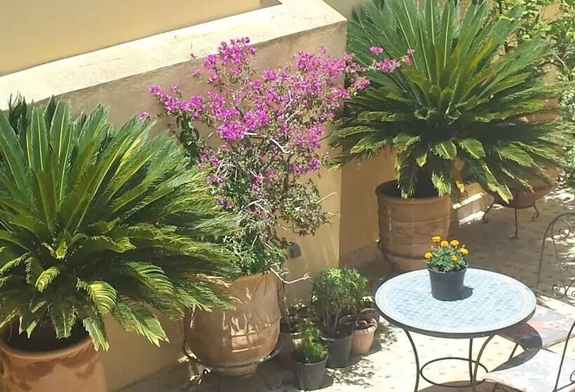 Riad Dar Cordoba