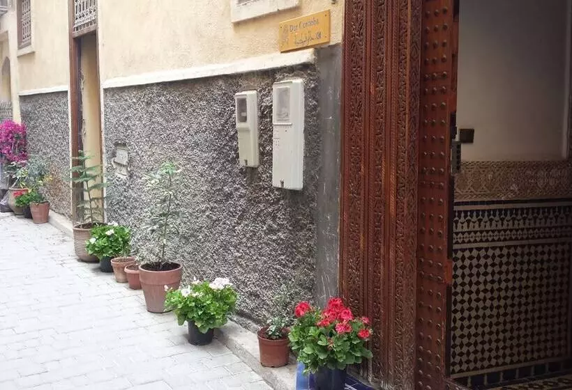 Riad Dar Cordoba