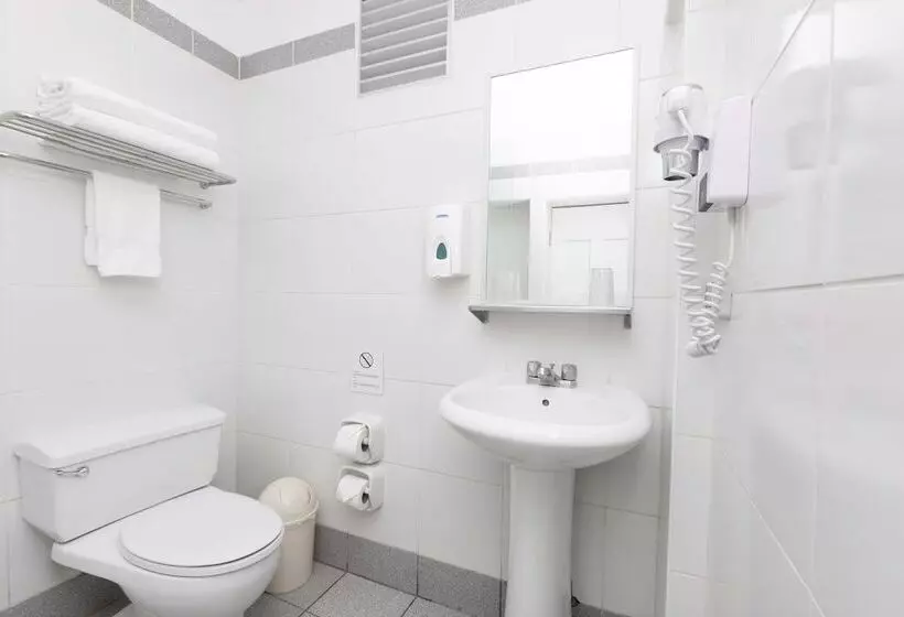 ホテル Casa Andina Standard Cusco Catedral