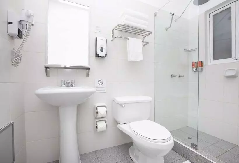 ホテル Casa Andina Standard Cusco Catedral