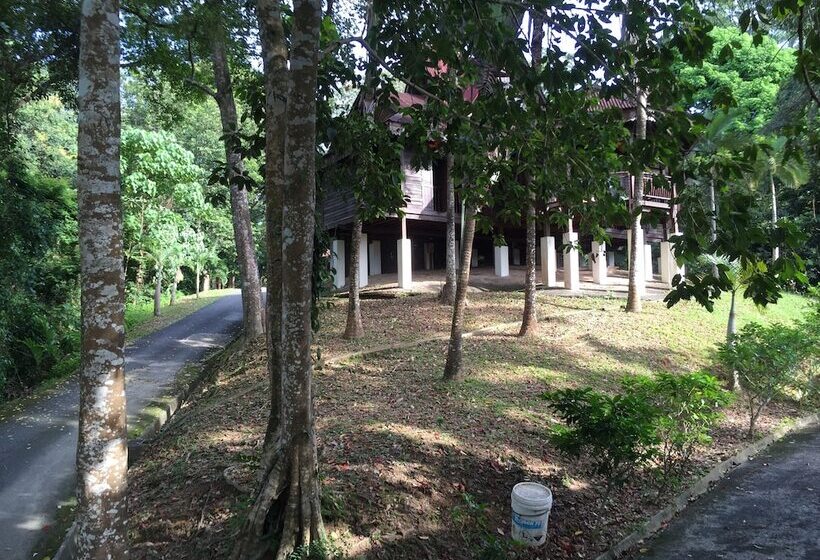 Hotel Kampung Tok Senik Resort