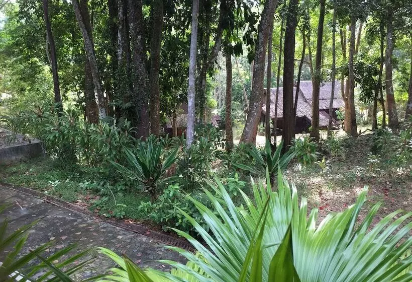 هتل Kampung Tok Senik Resort