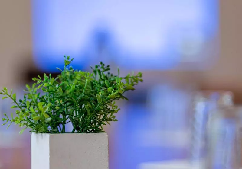 Noemys Toulon La Valette   Hotel Restaurant Avec Piscine